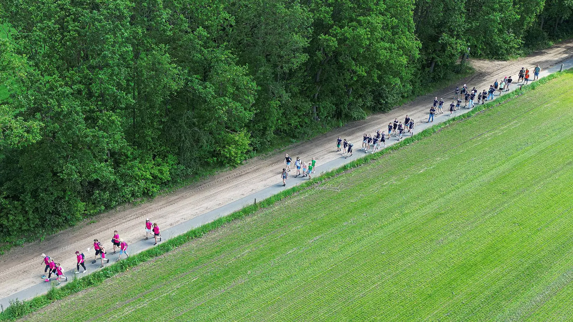 2026-05-30 Veluwewandeltocht Arjen-32