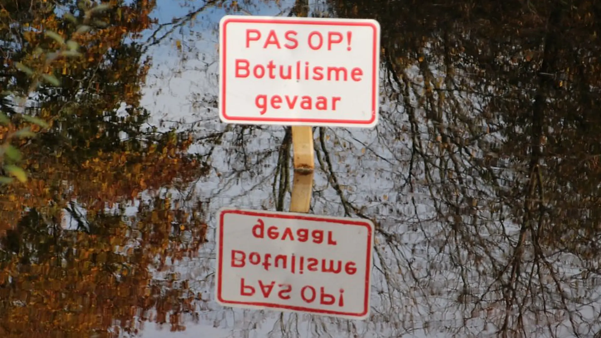 2026-08-21 botulisme