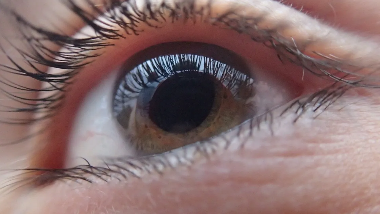 eye 321961 1280