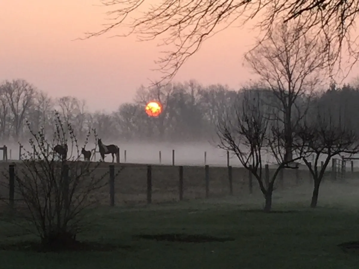 mist zon pxhere