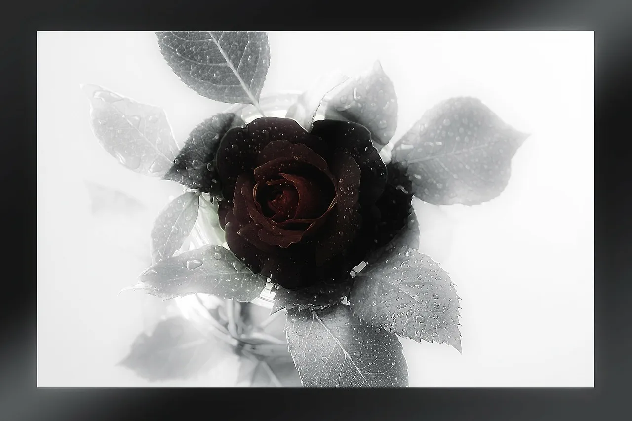 mourning 229118 1280