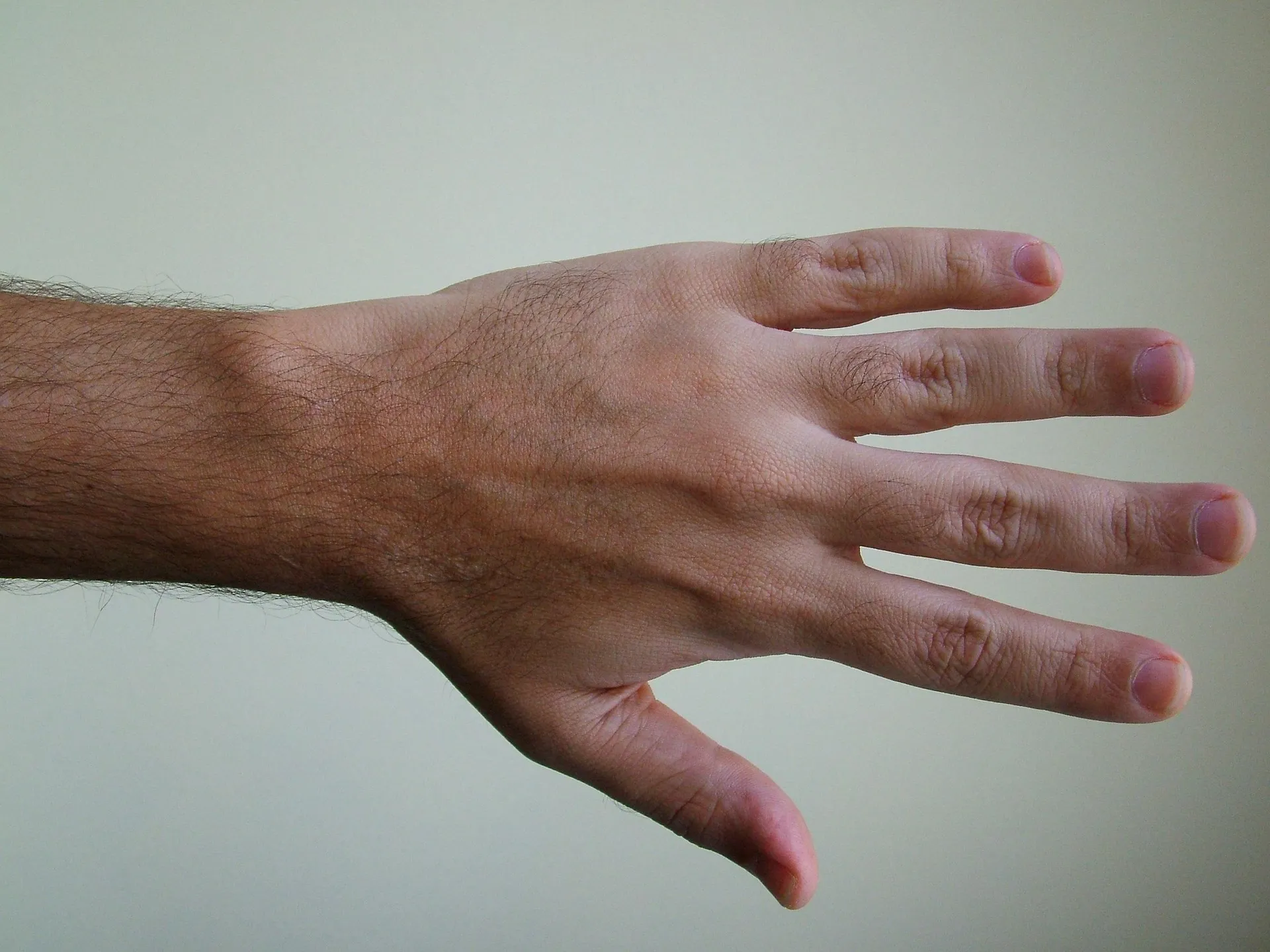 hand pixabay