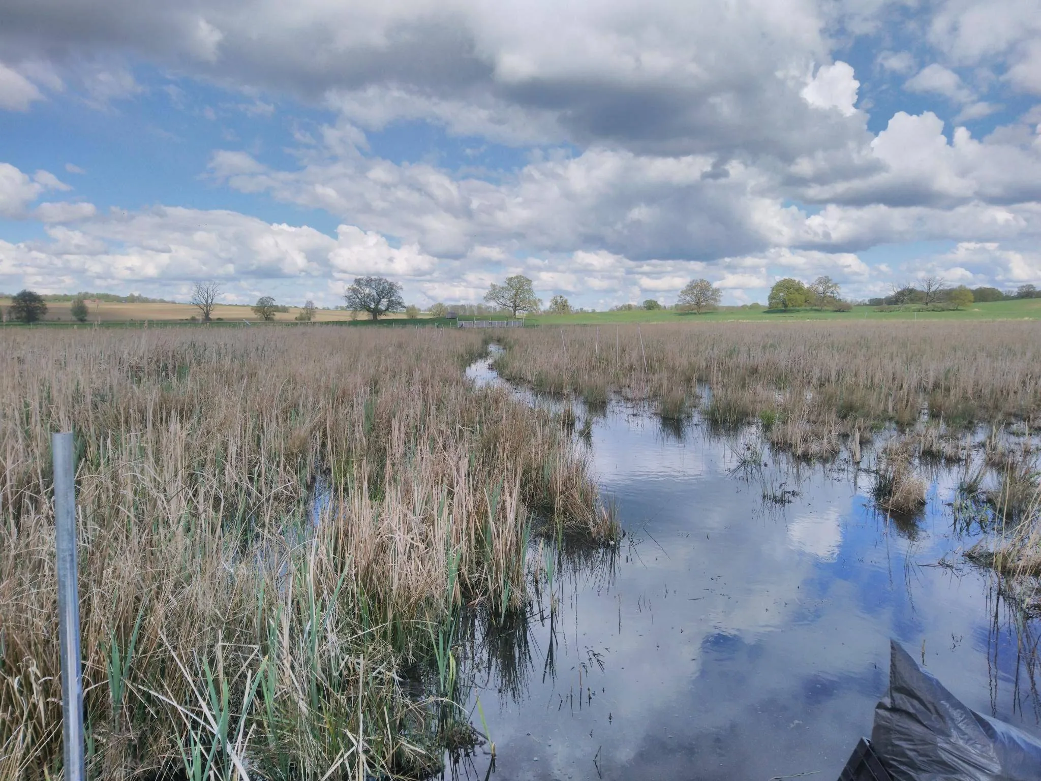 wetlands radboud universiteit