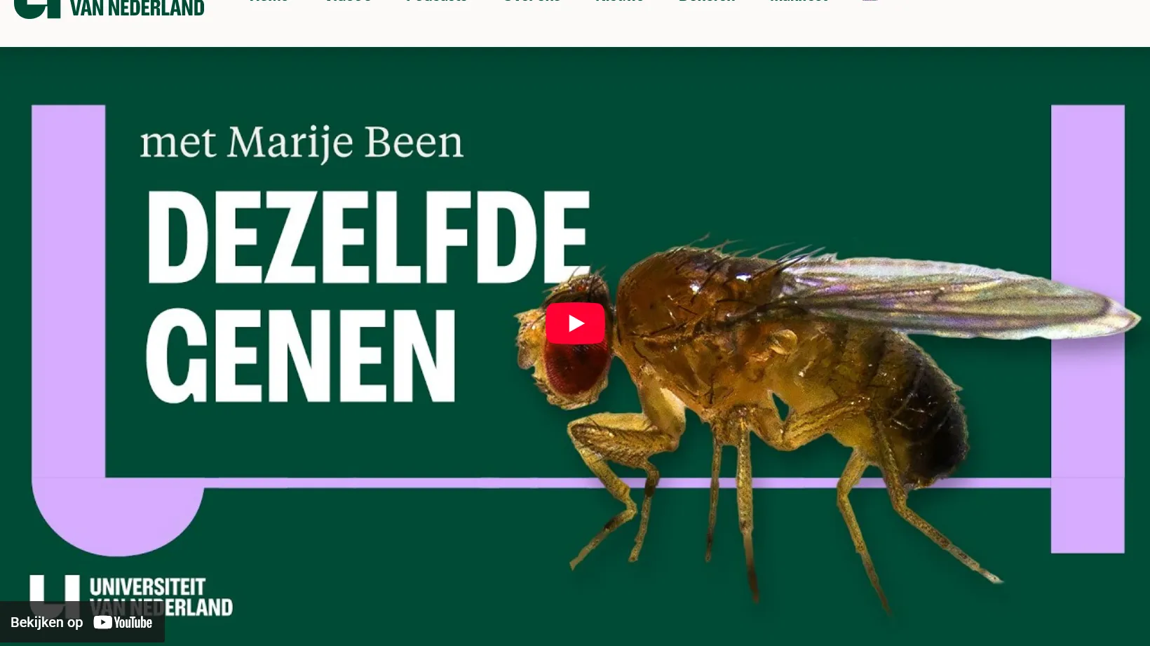 SWaarom we allemaal op fruitvliegen lijken Universiteit van Nederland