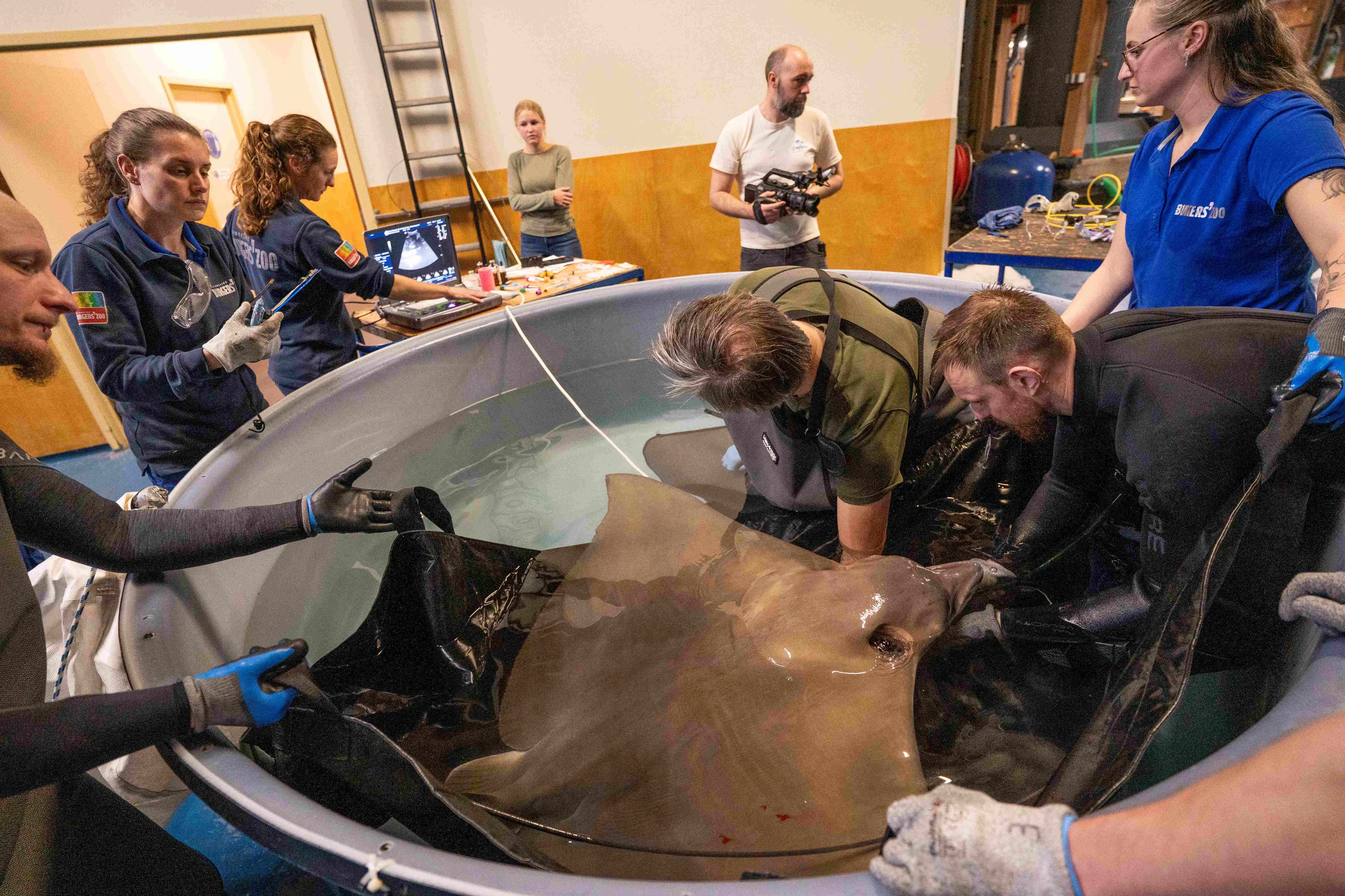 Echo-en-anticonceptie-rog-4