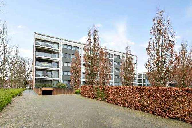 Treubstraat c Dynamis7