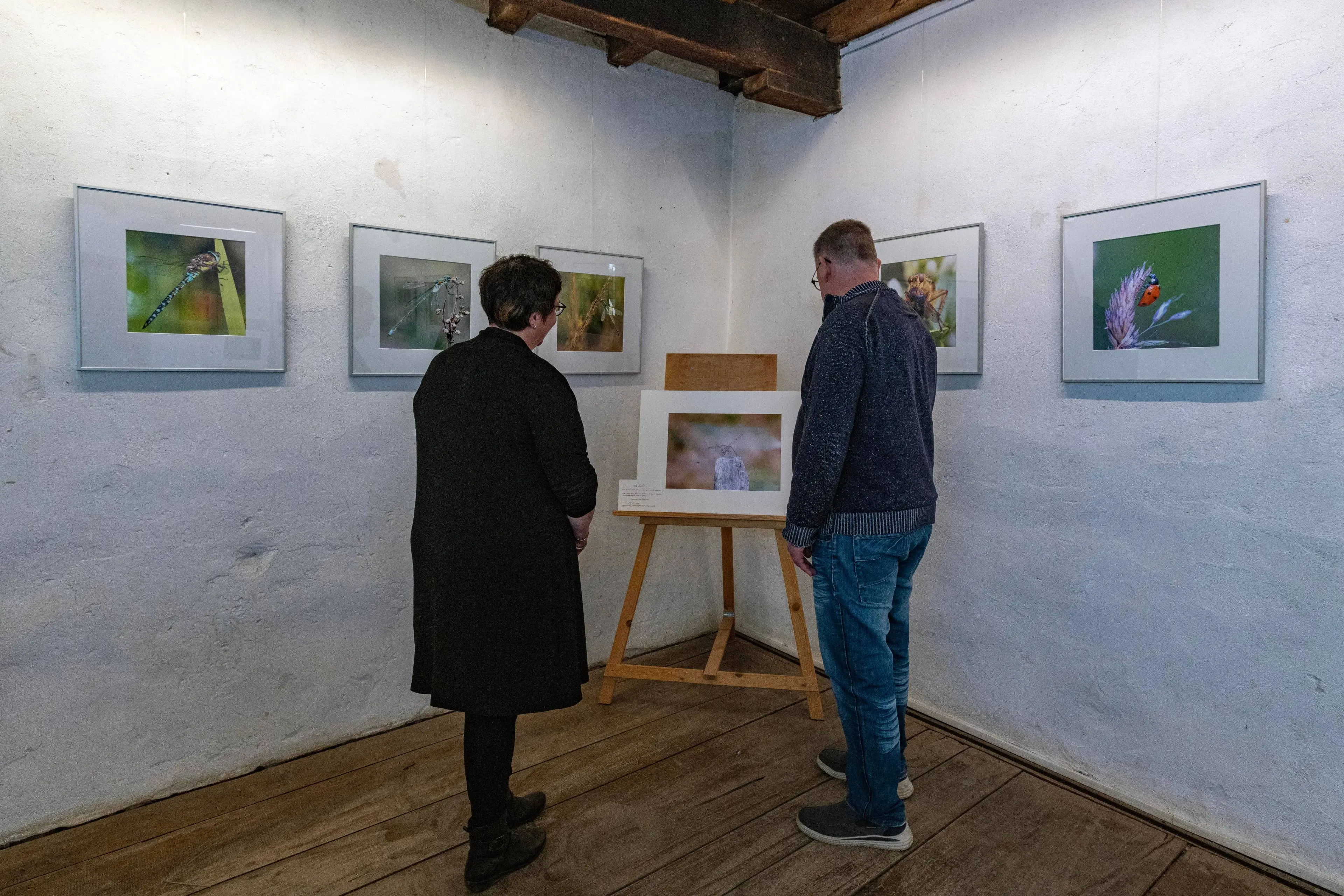 Expositie Ton Rothengatter1e
