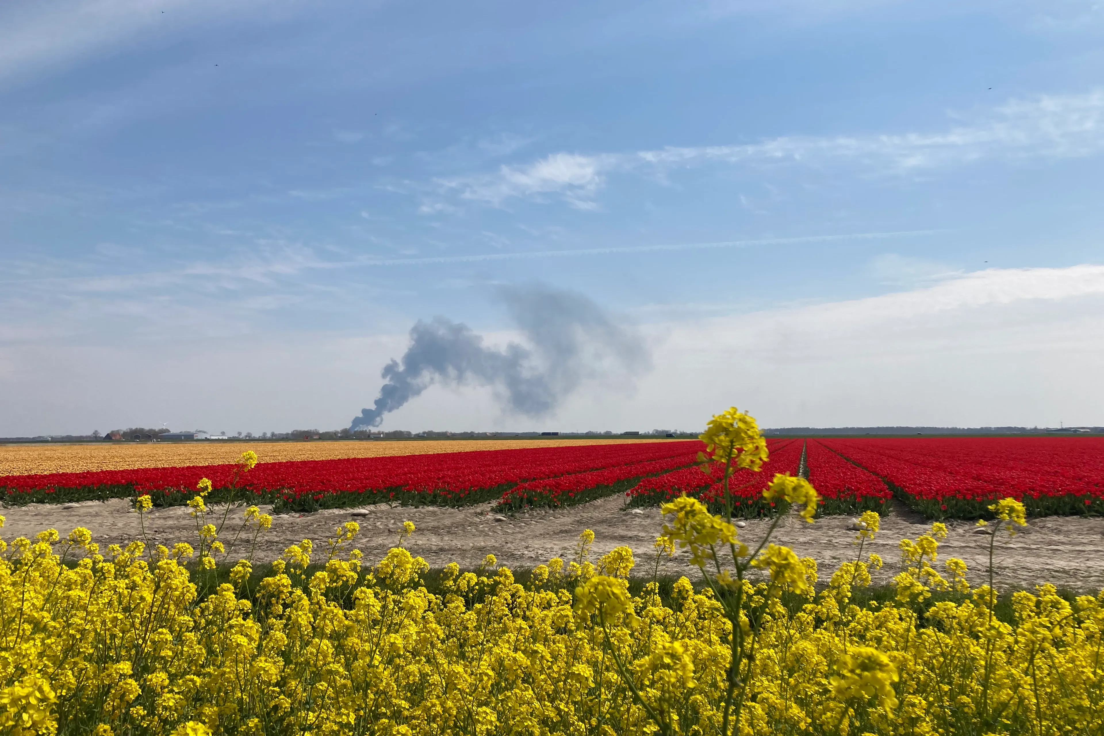 brand img 5276