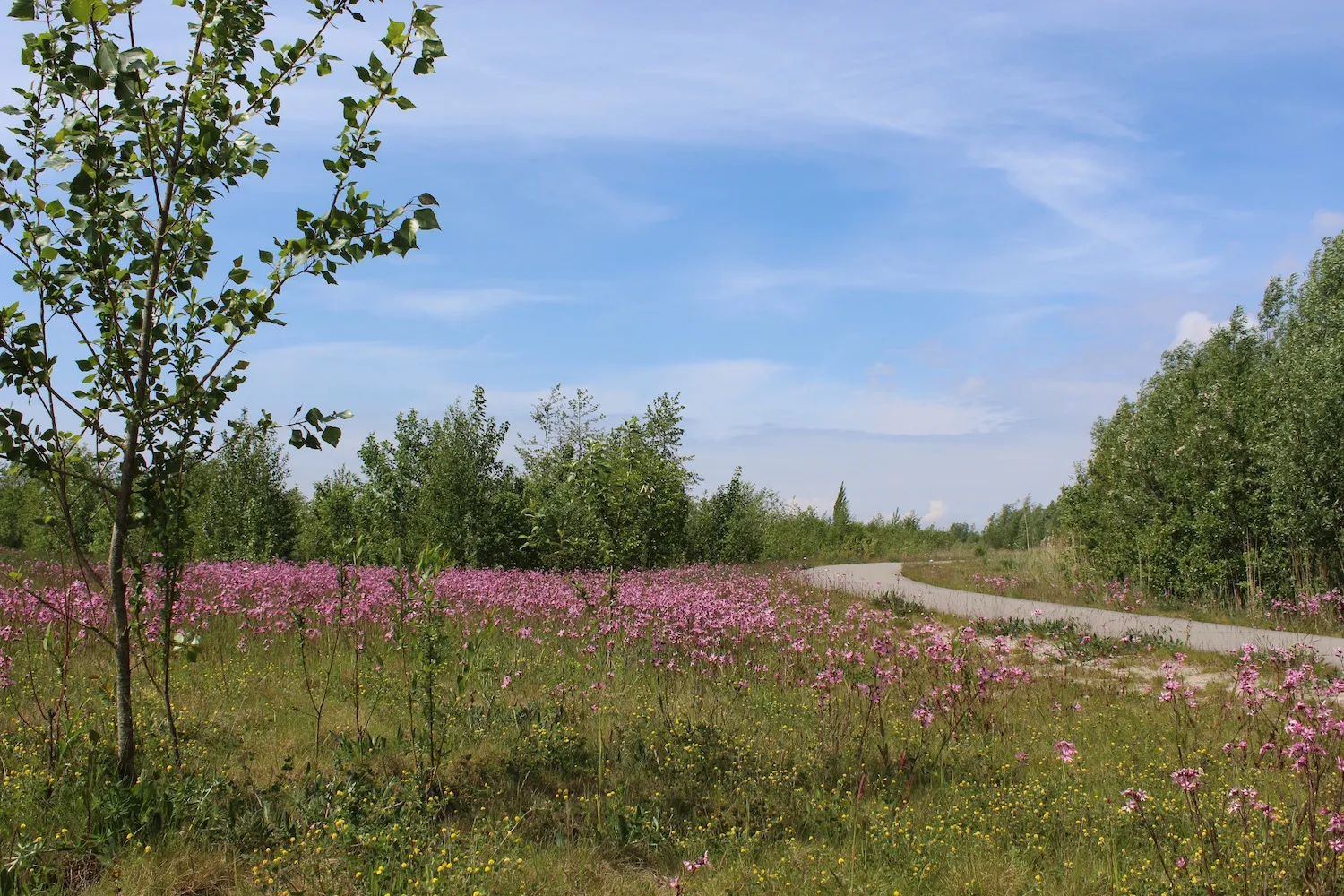 burchttocht