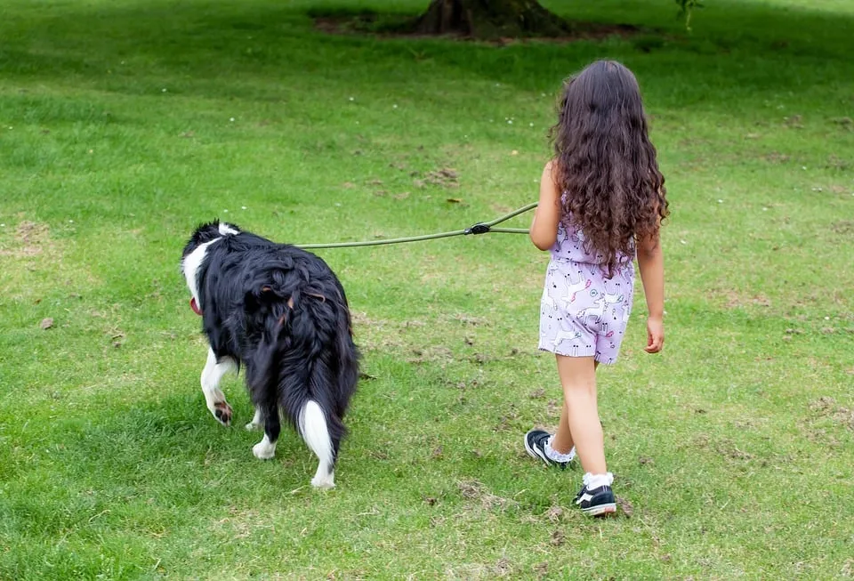 child with dog 4297148 960 720