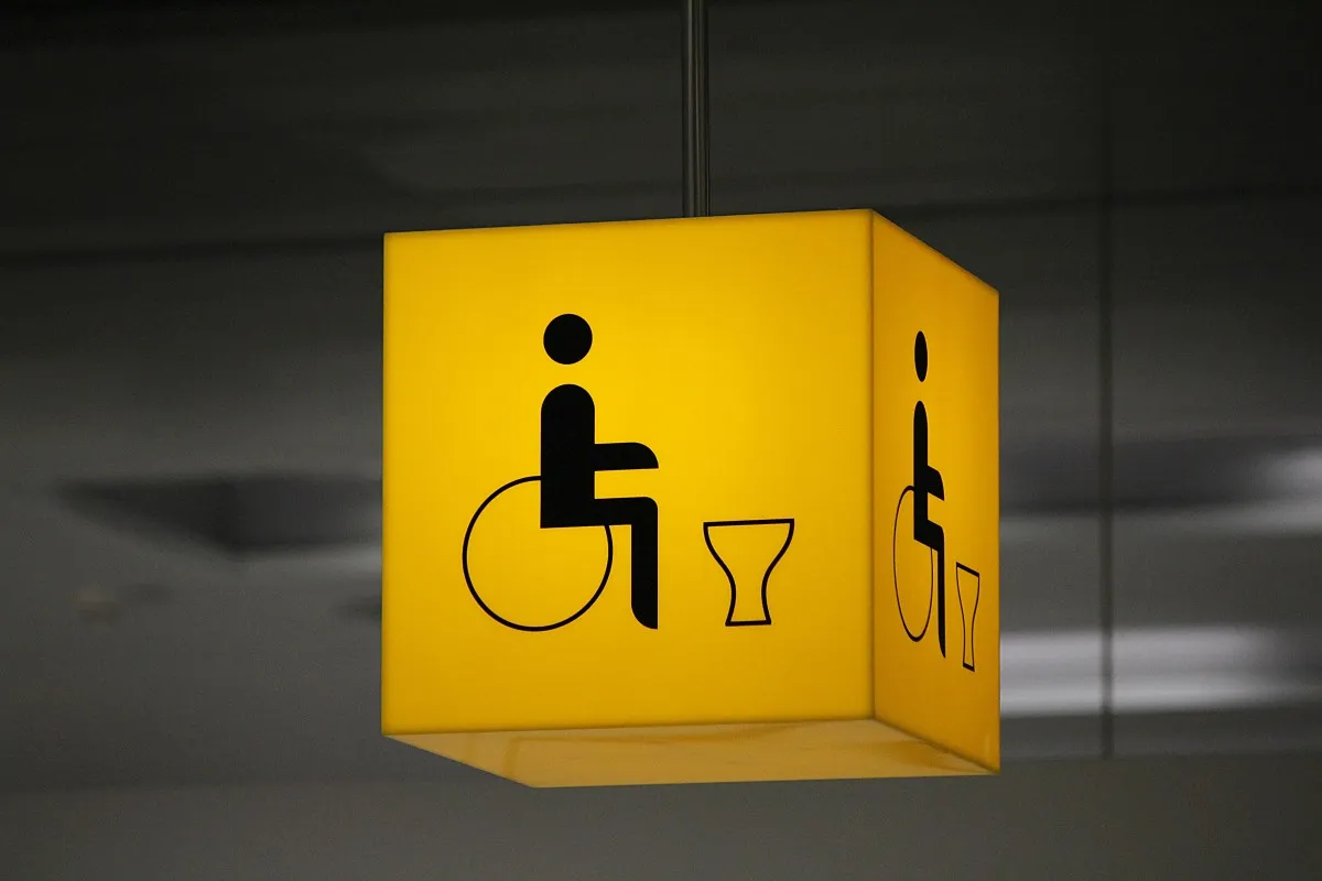 disabled toilet disability wheelchair wheelchair users toilets loo note 920851jpgd