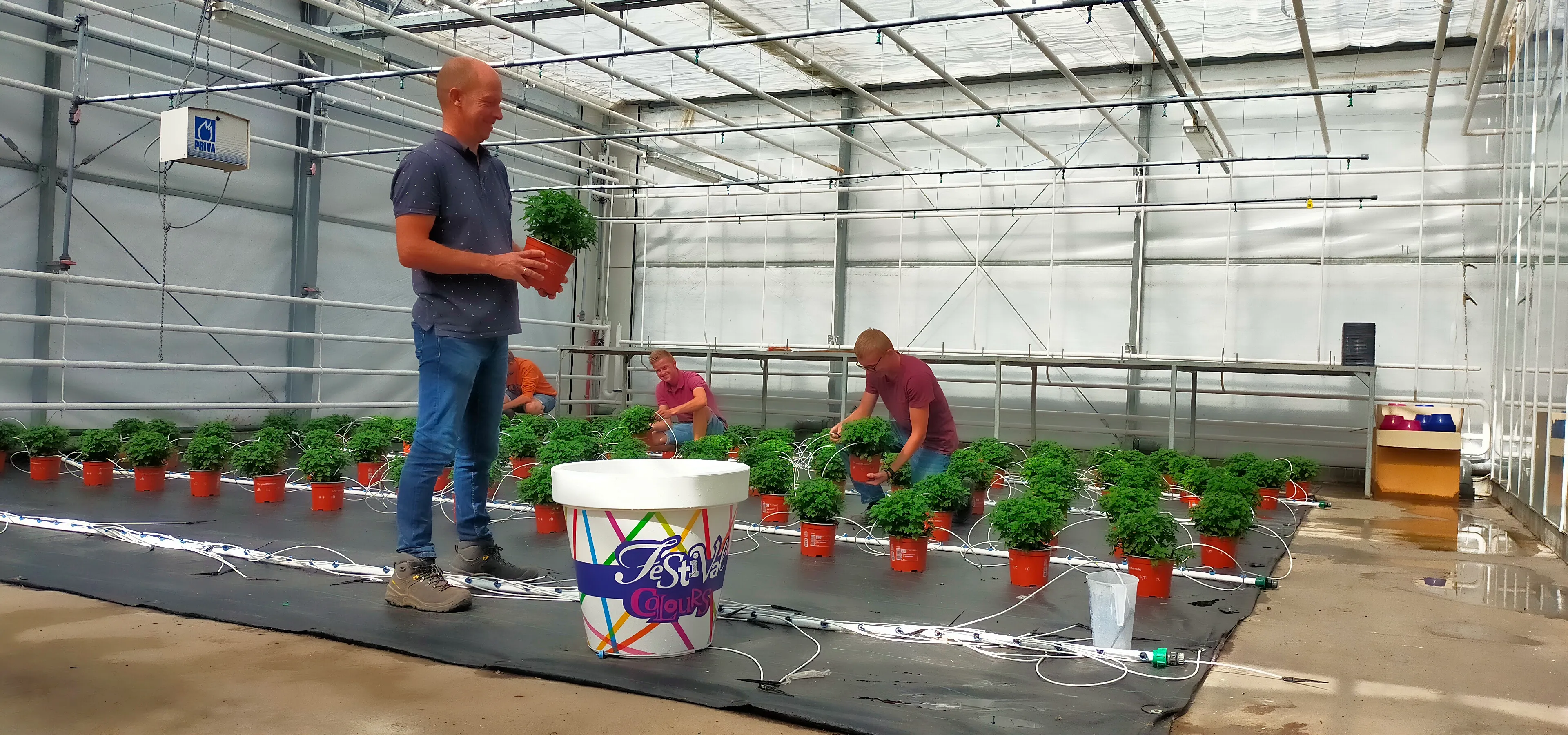 foto kas erik groen