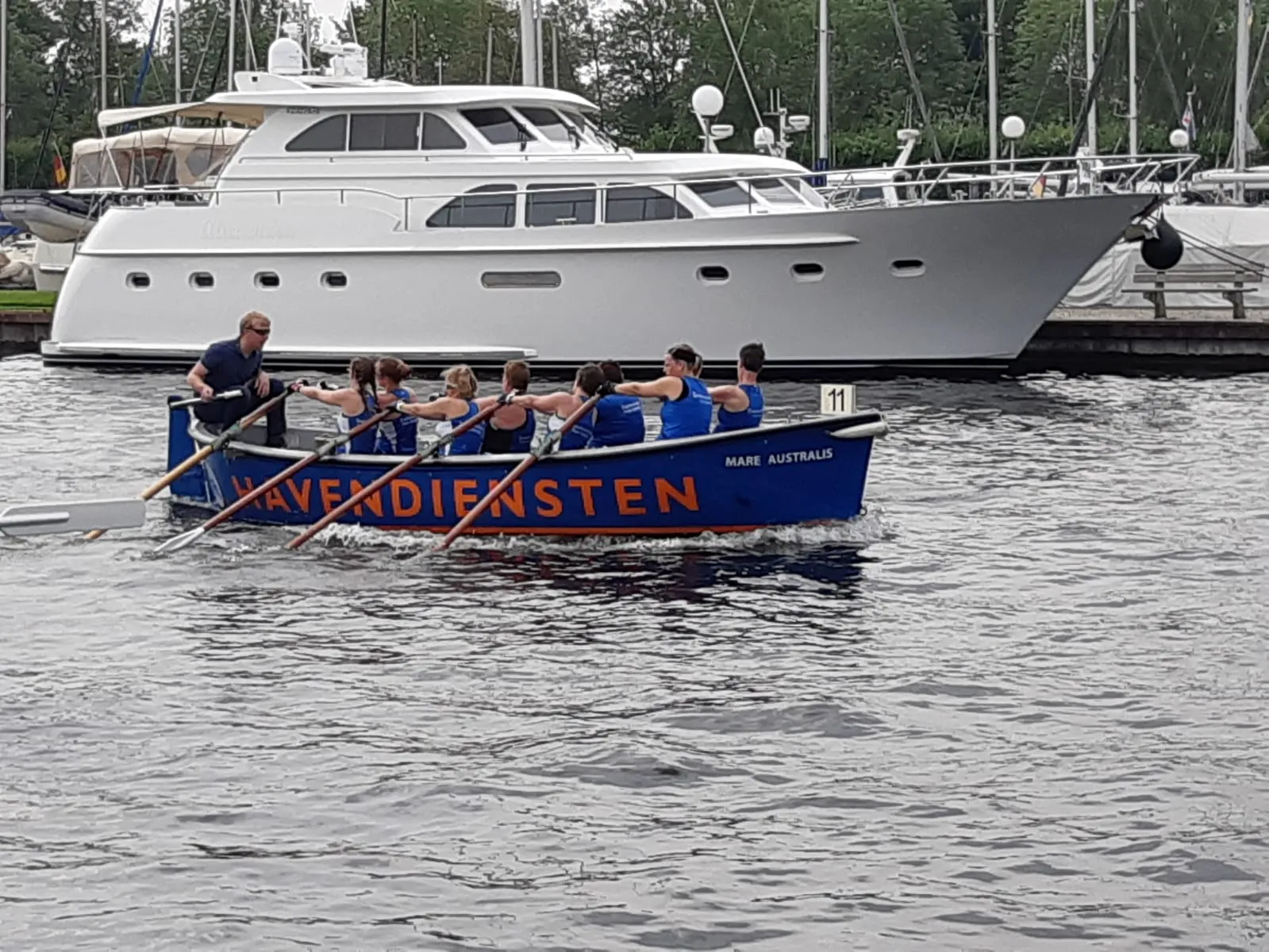 foto mare australis lemmer 2019