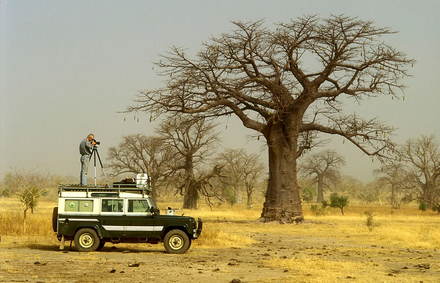 fotograaf fred hoogervorst met een baobab foto fred hoogervorst