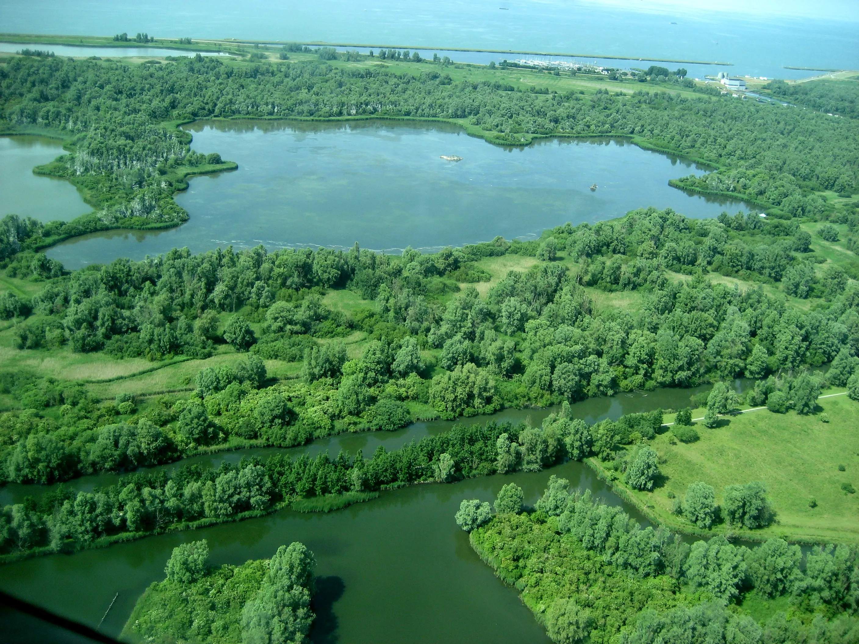 lepelaarplassen natuurnetwerk flevoland