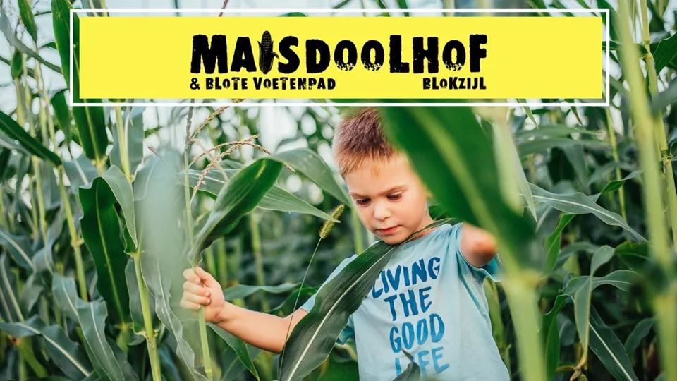 maisdoolhof 102962707 4161872493852950 7171631872130166216 o