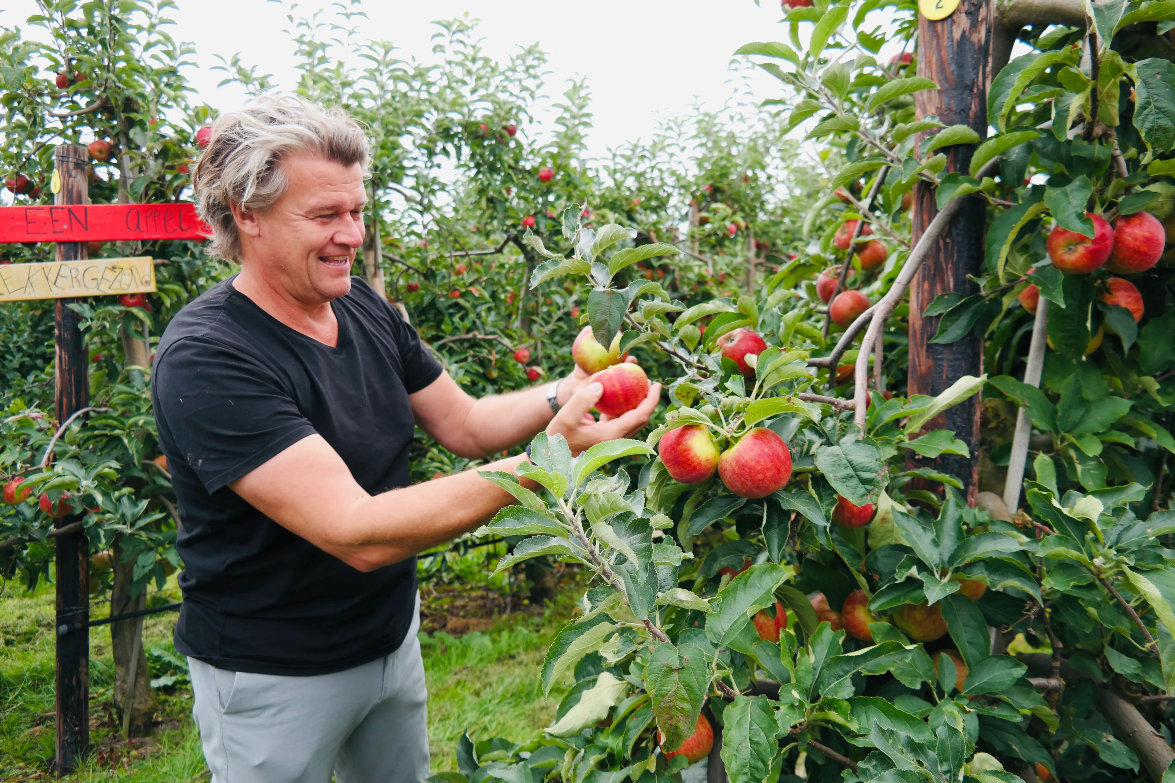 peter lute plukt eerste appels sam 4112