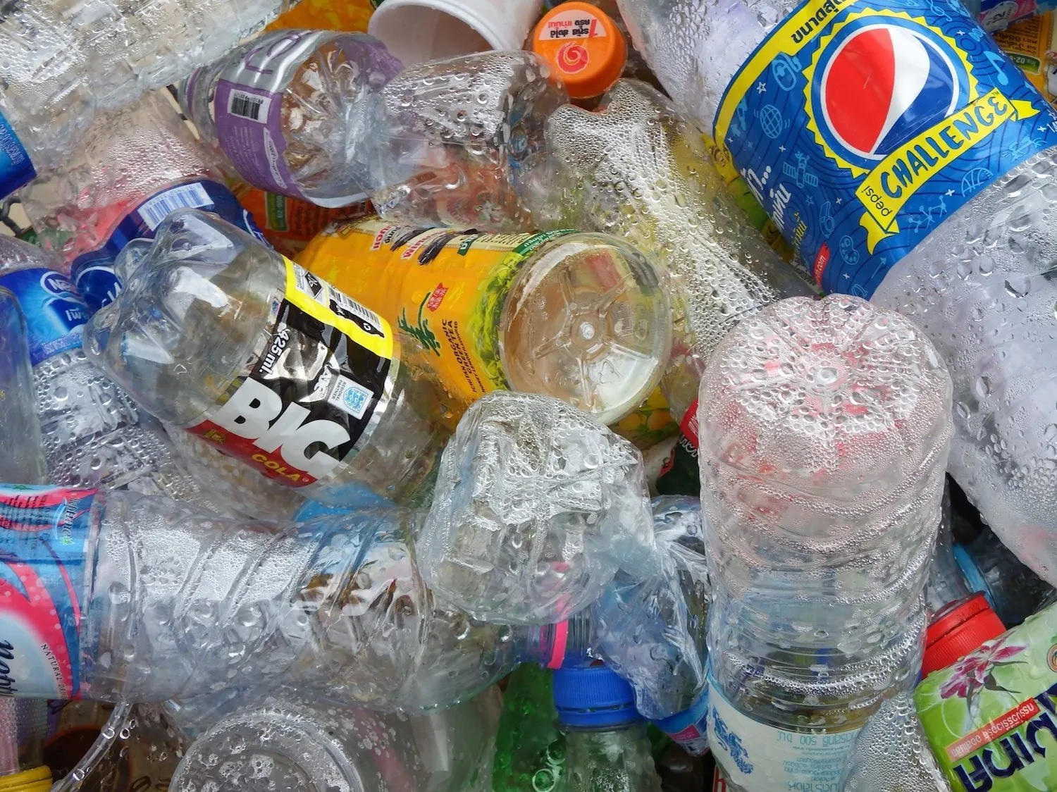 plastic flesjes cc by publicdomainpictueesnet