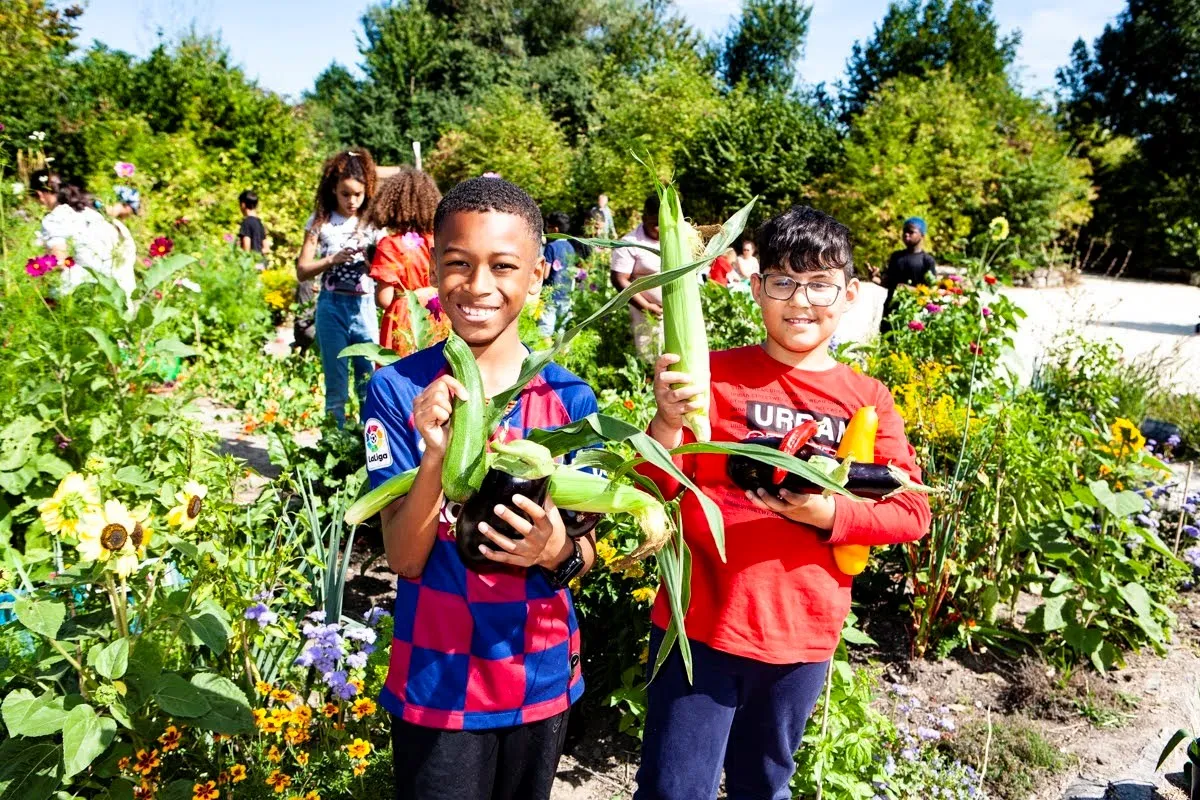 schooltuinen amsterdam almere utopia island elles de vries