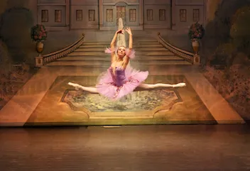 sleepingbeauty 8
