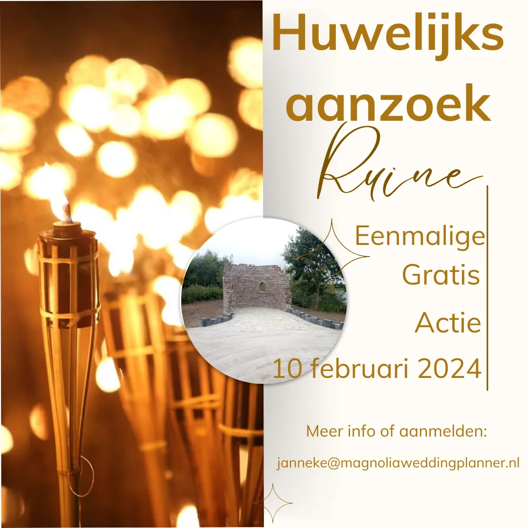valentijns aanzoek actie
