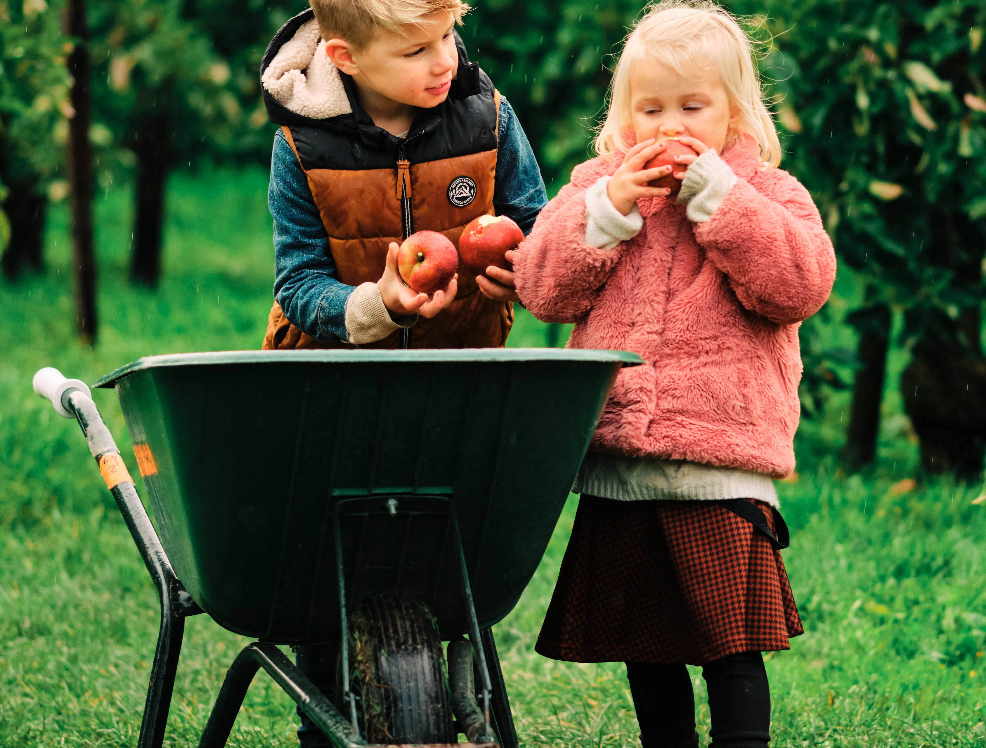 24 10 23 herfstshoot no polder schokker fotografie 1604 4500px