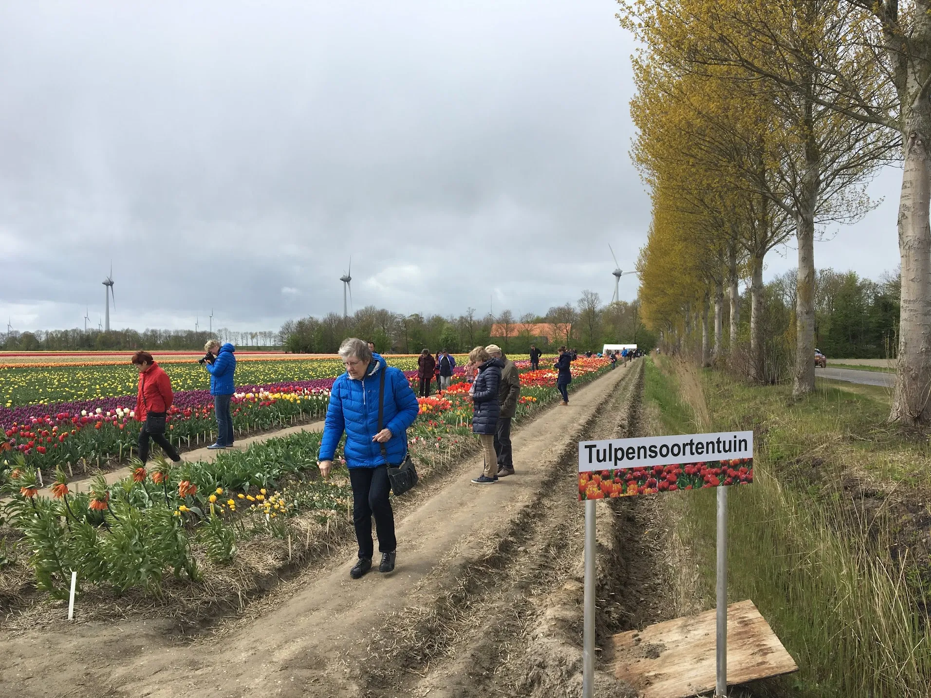 tulpensoortentuin henk van drie 23042017 img 2675