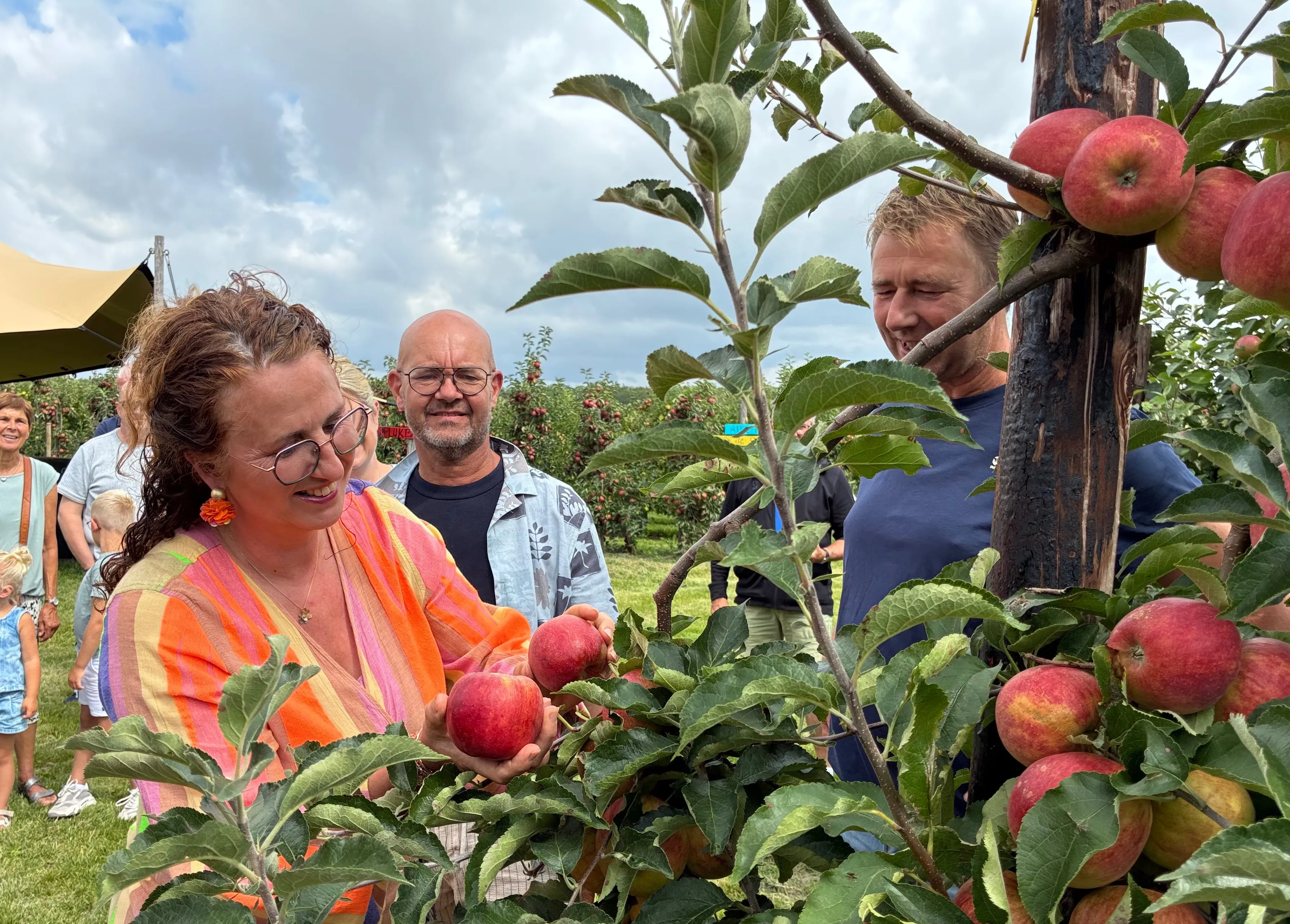 2025 - Geraldine plukt de eerste twee appels bij Vink Fruitboerderij IMG_2243