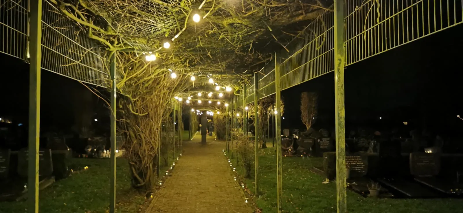 3d89e1a6-056a-4406-9fc8-597974b5f4f2[1]