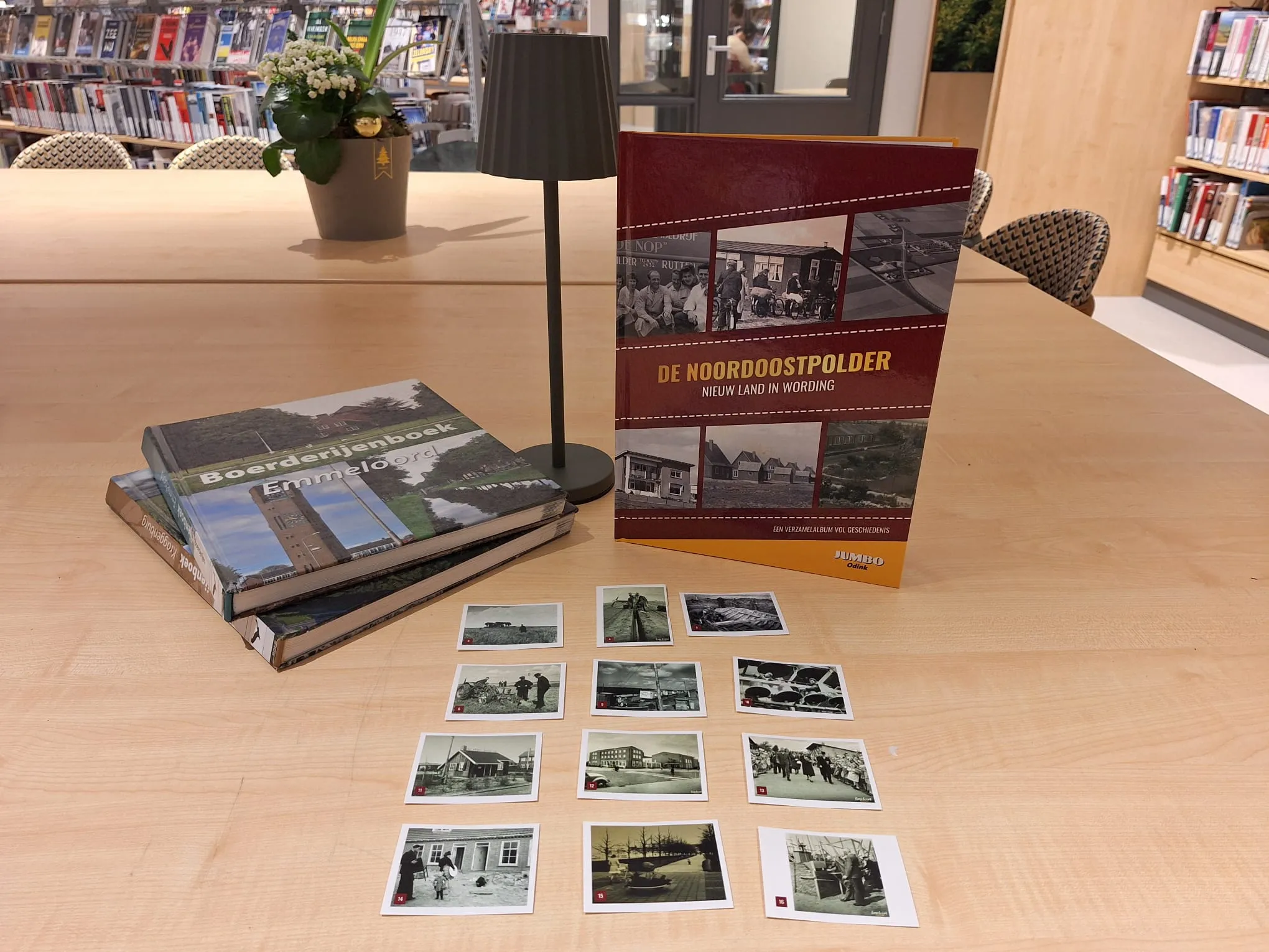 WhatsApp Image 2026-01-14 at 11.16.00