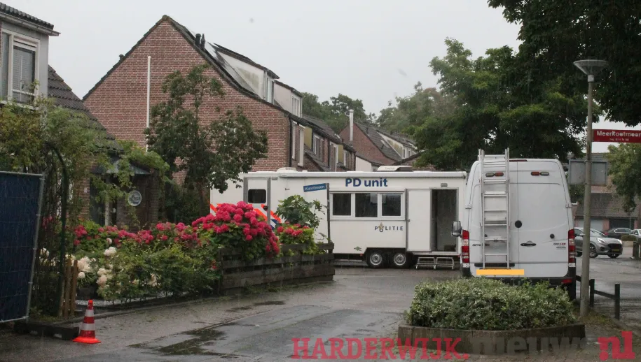 kindermishandeling meerkoet met watermerk 2