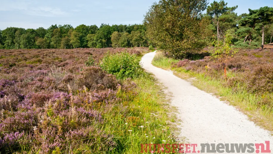 Veel animo voor de wandeling over de Veluwse heide rondom Nunspeet