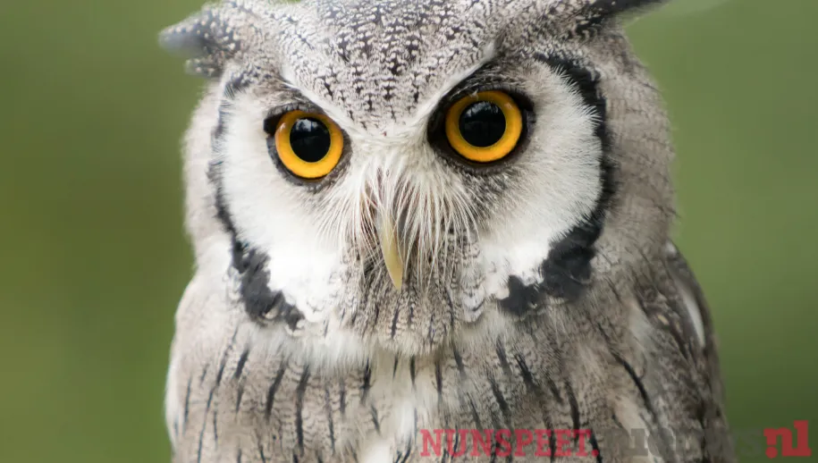 Wintertijd dus een uur de klok terug