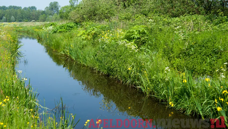 Noodzaak betere bescherming waterkwaliteit in Nederland