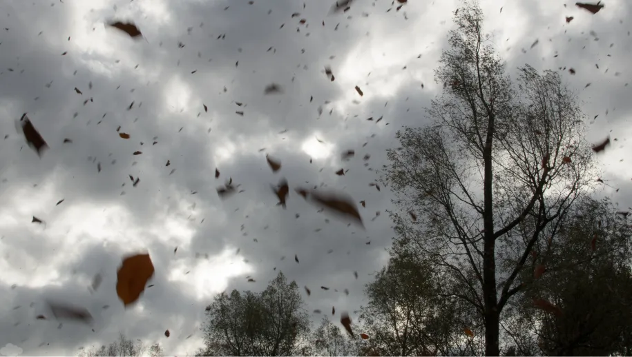 Wisselvallig met soms veel wind