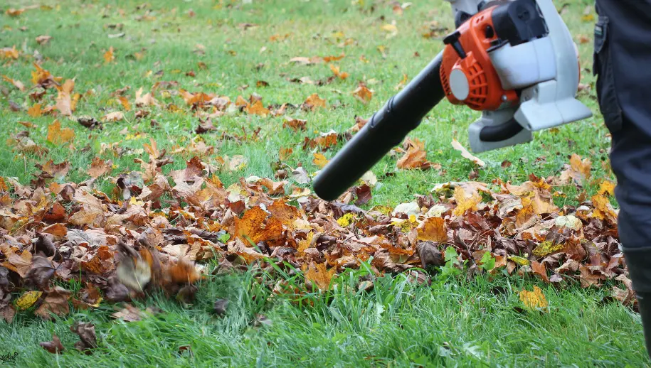 Tuin winterklaar maken: 8 tips voor een goede voorbereiding