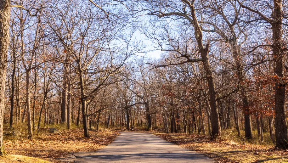 Weerbericht Nunspeet: frisse start met kans op buien