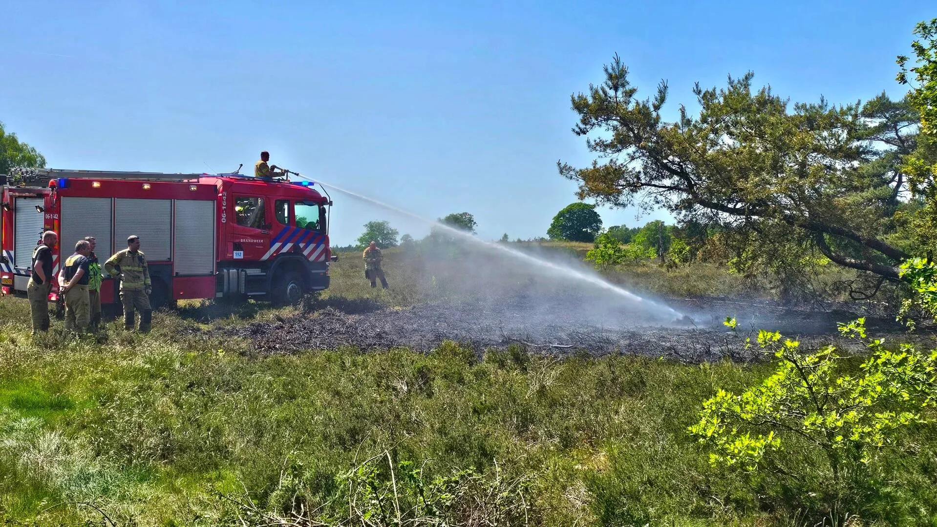heidebrand frusselt vierhouten (3)