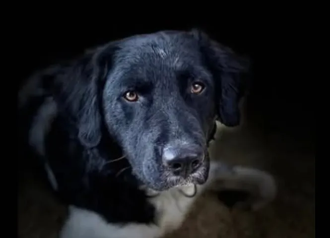 Schermafbeelding 2025-09-11 161348