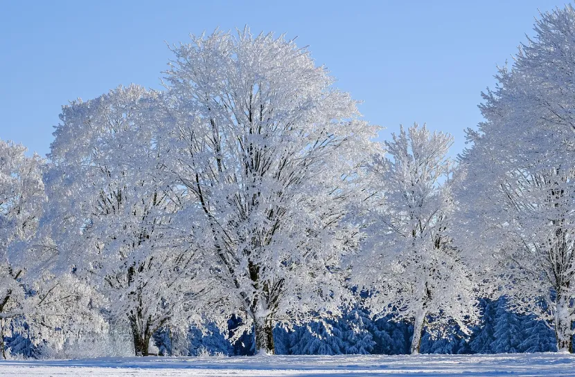 Schermafbeelding 2026-01-05 141729