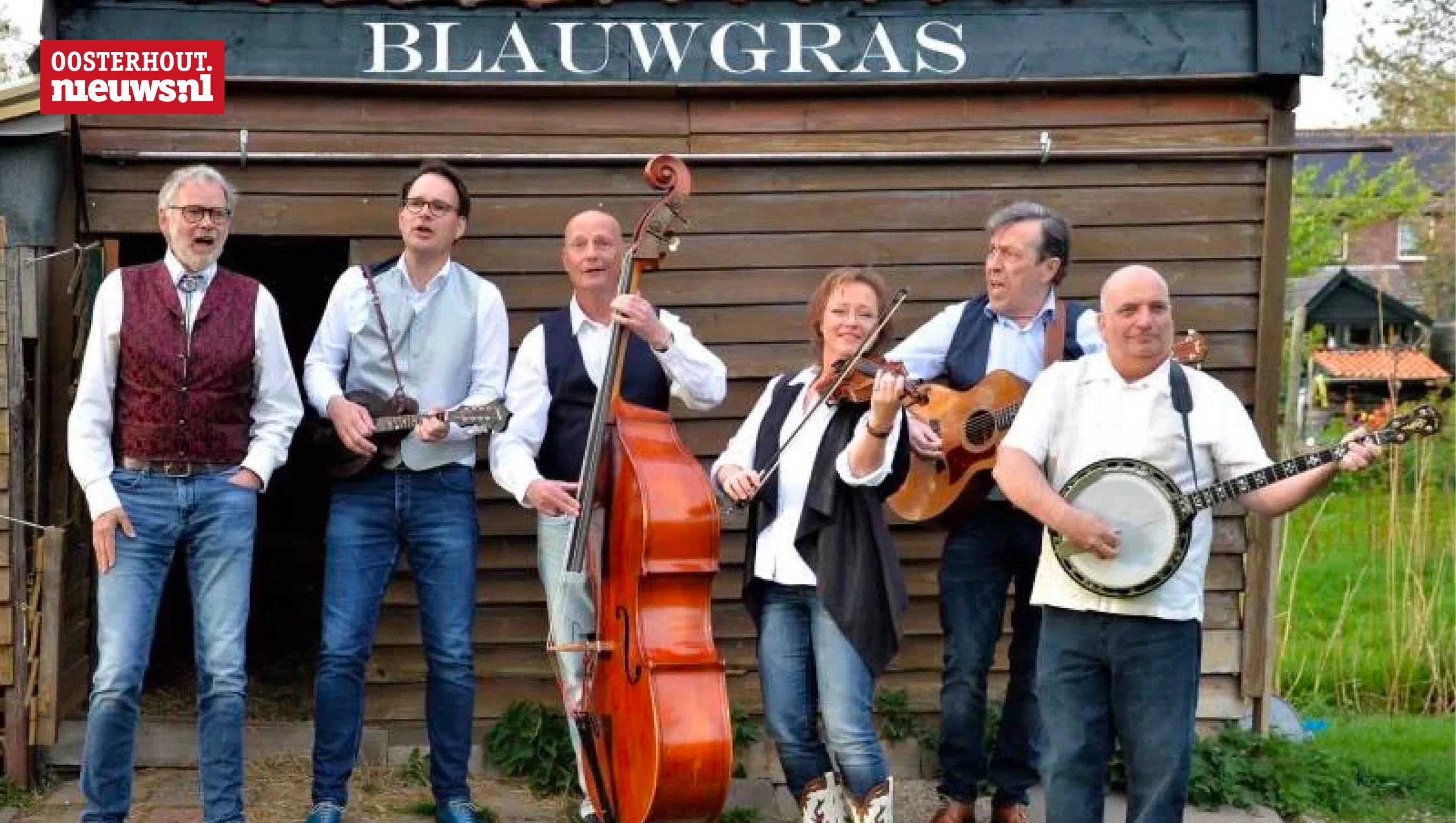 blauwgras