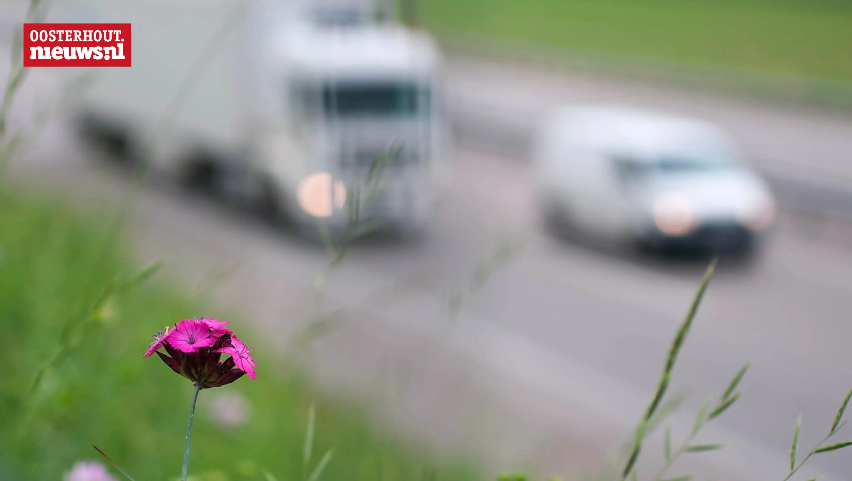 bloem snelweg