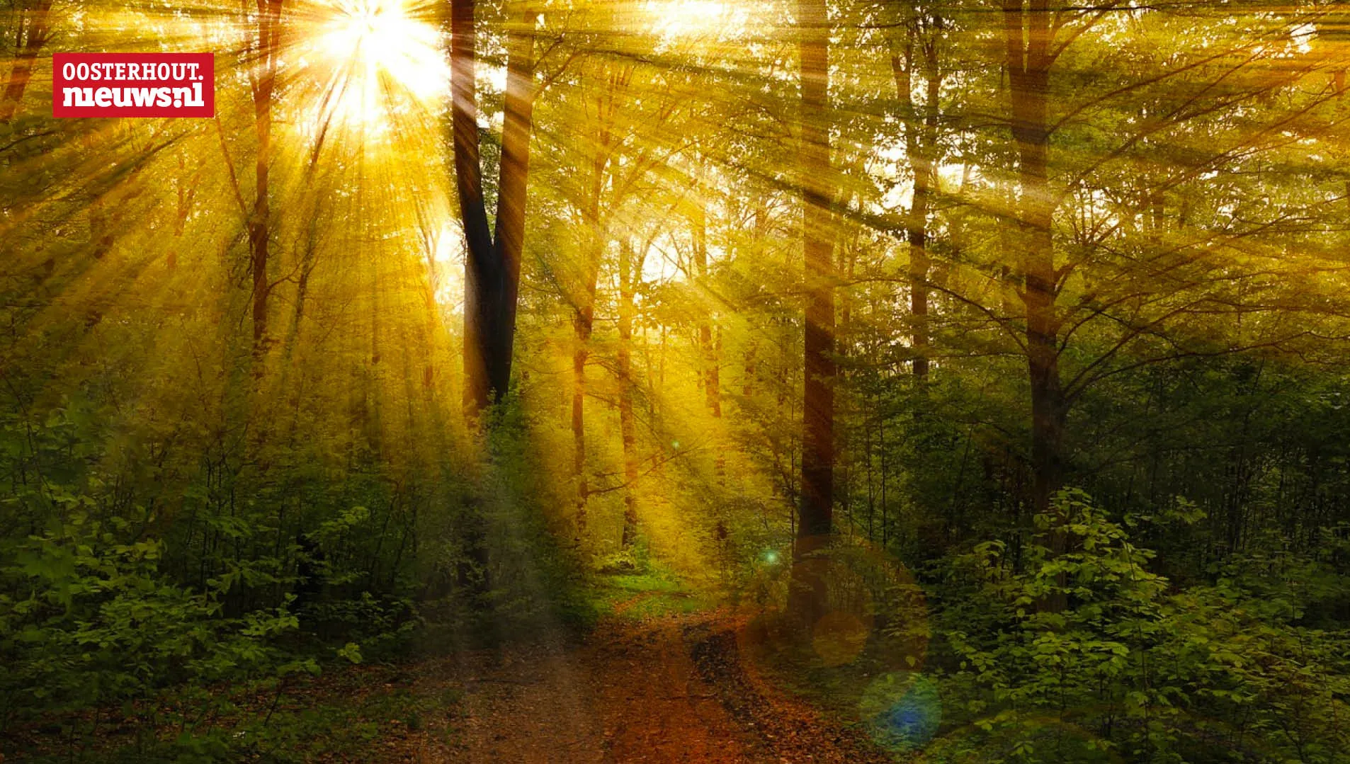bos zon