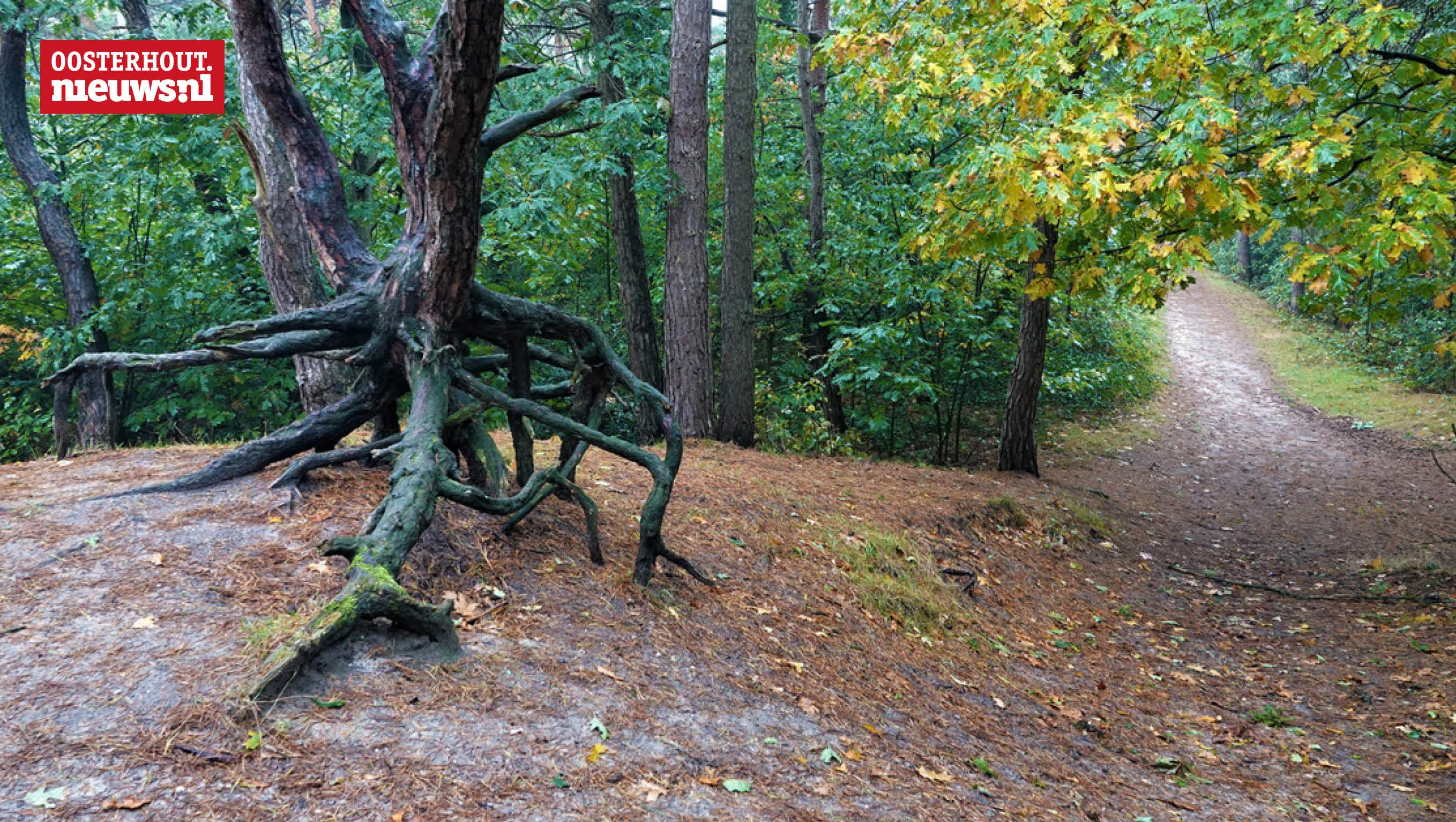 landgoed oosterheide