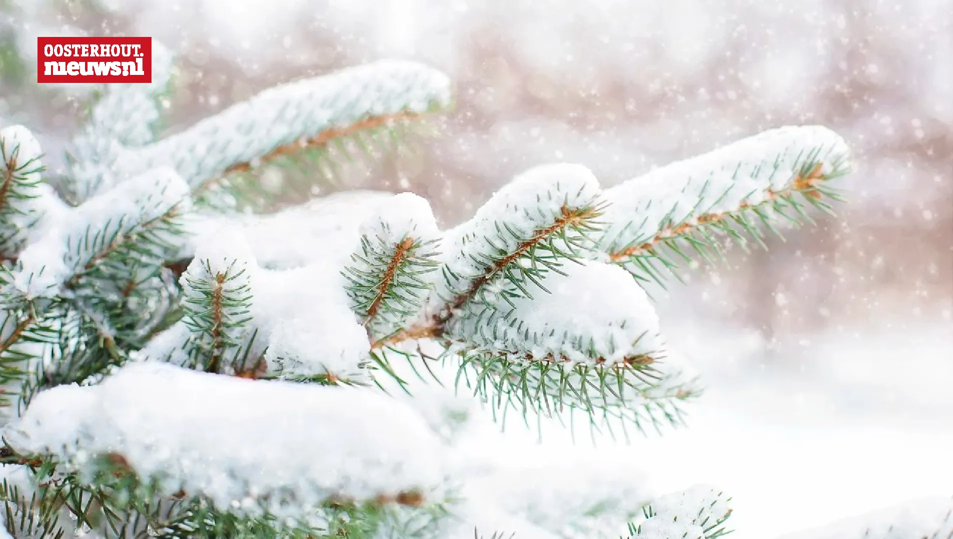 sneeuw kerstboom