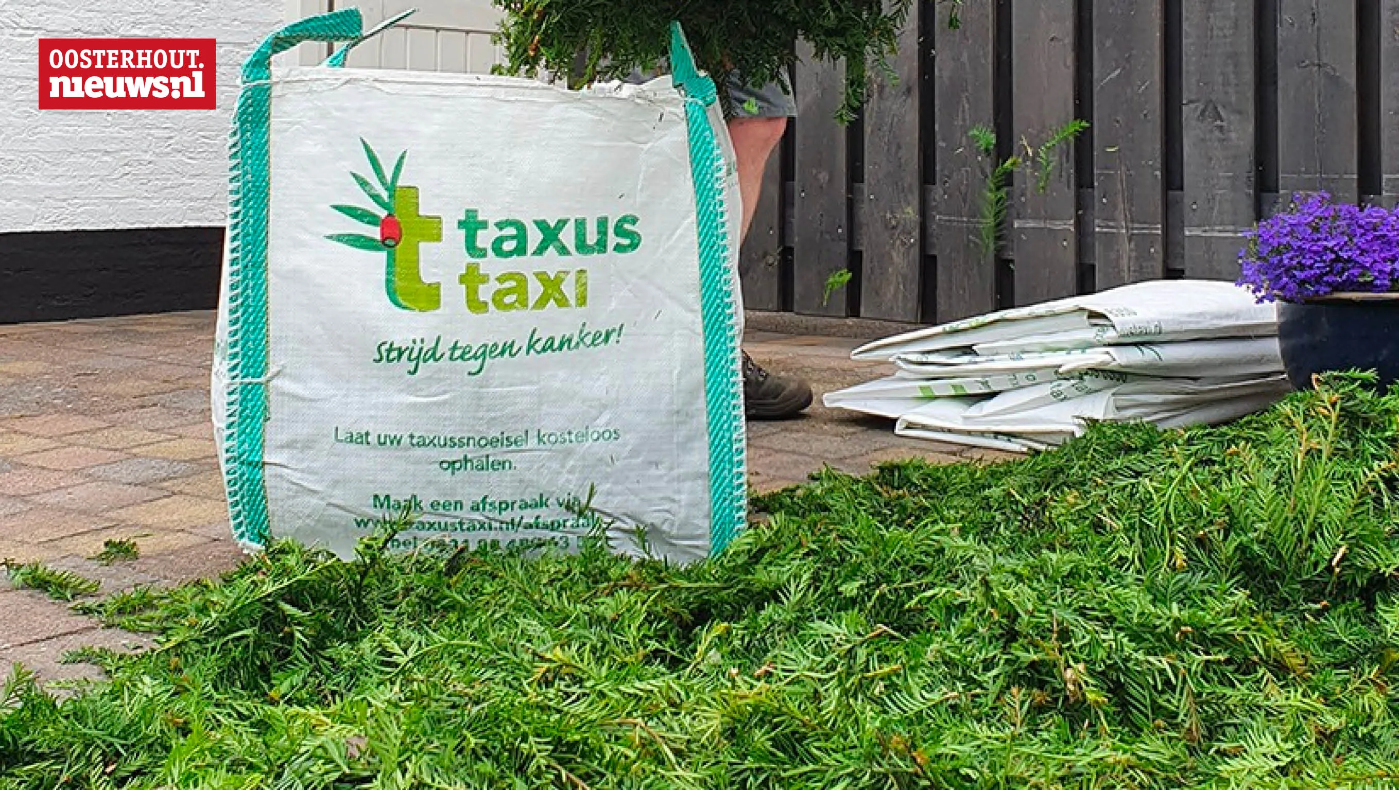 taxus taxi
