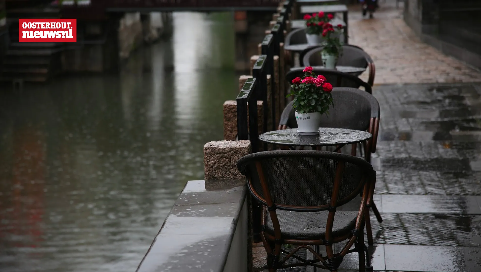 terras regen