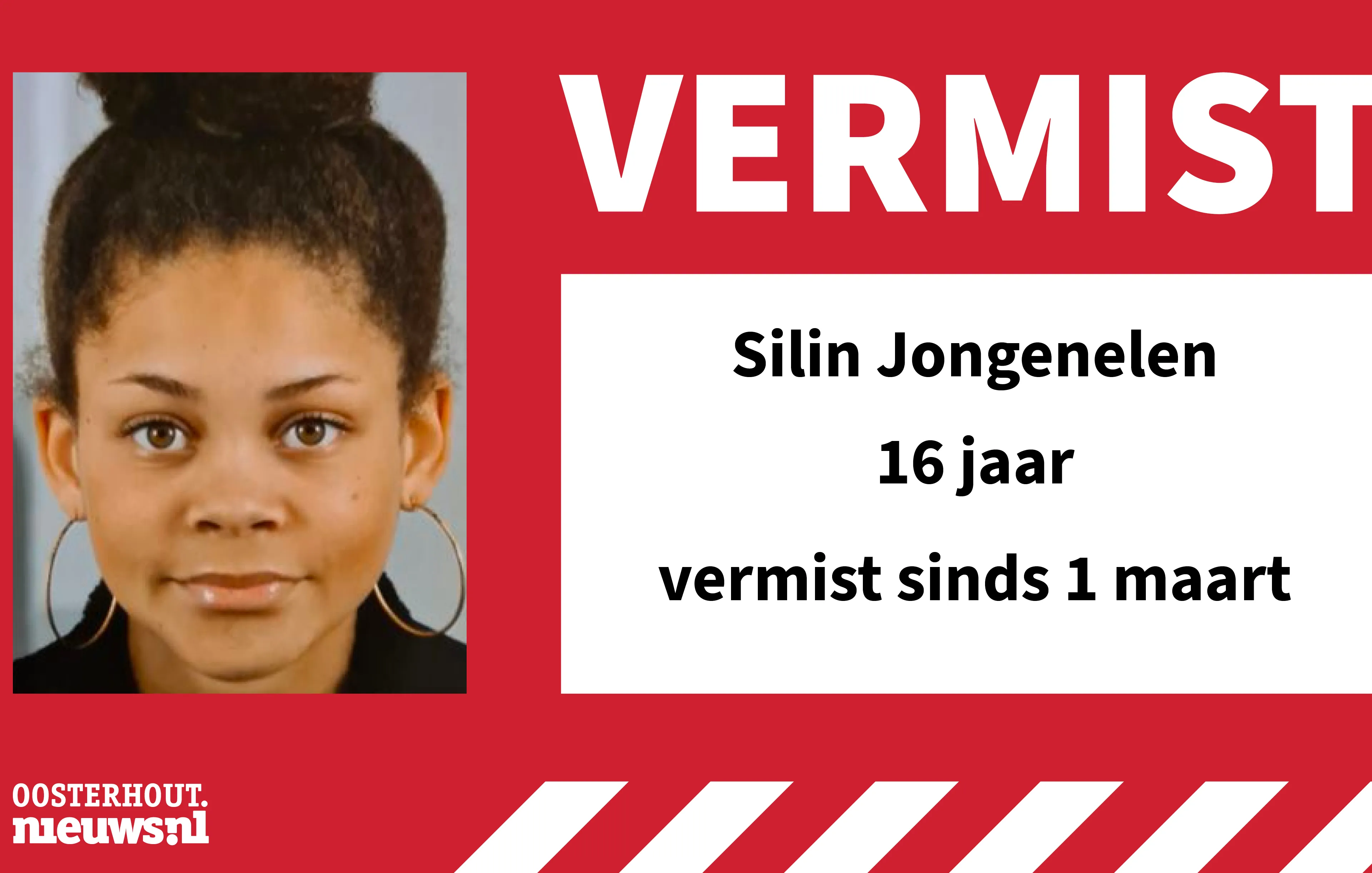 vermist silin