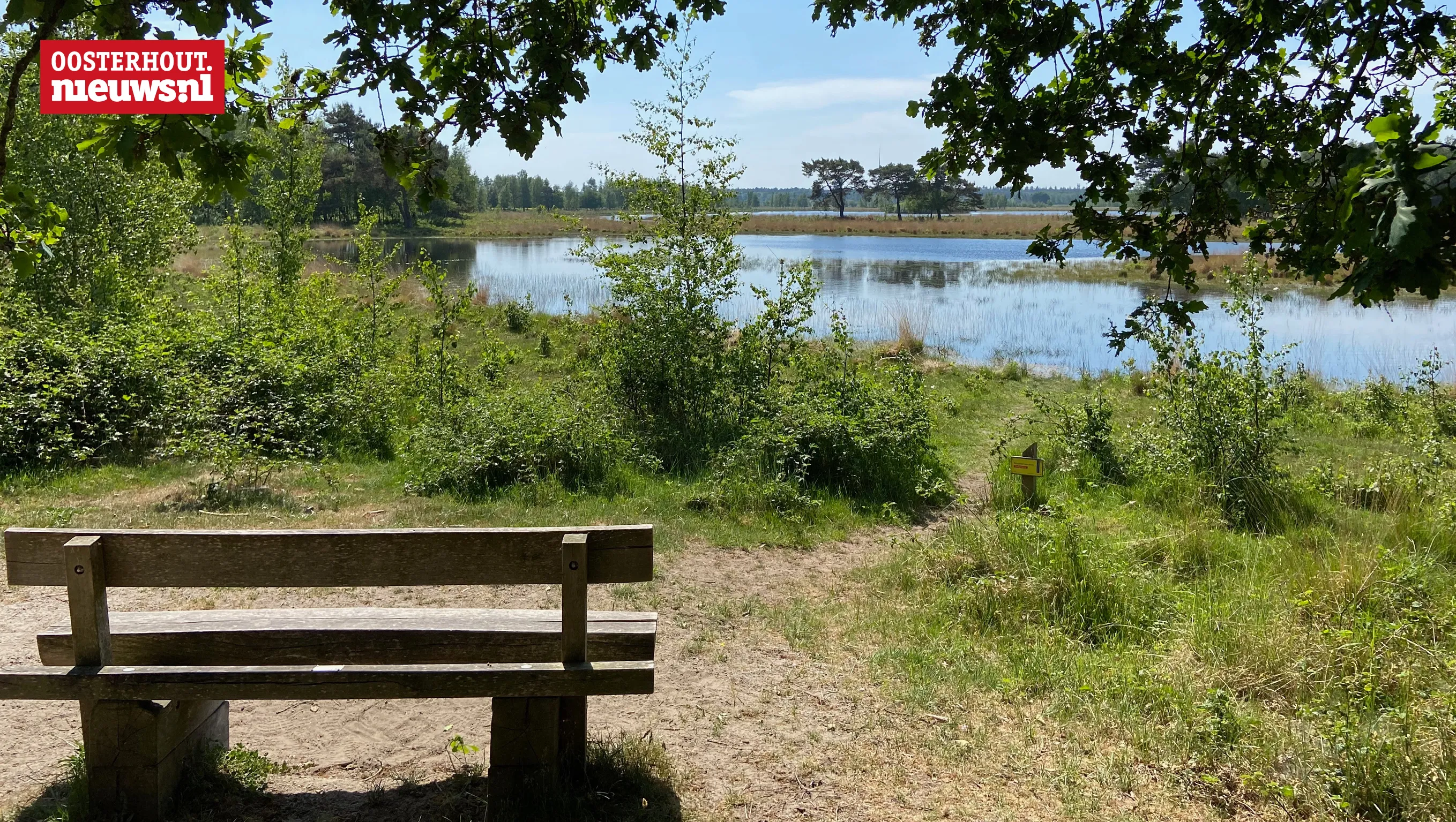 waterschapsverkiezing