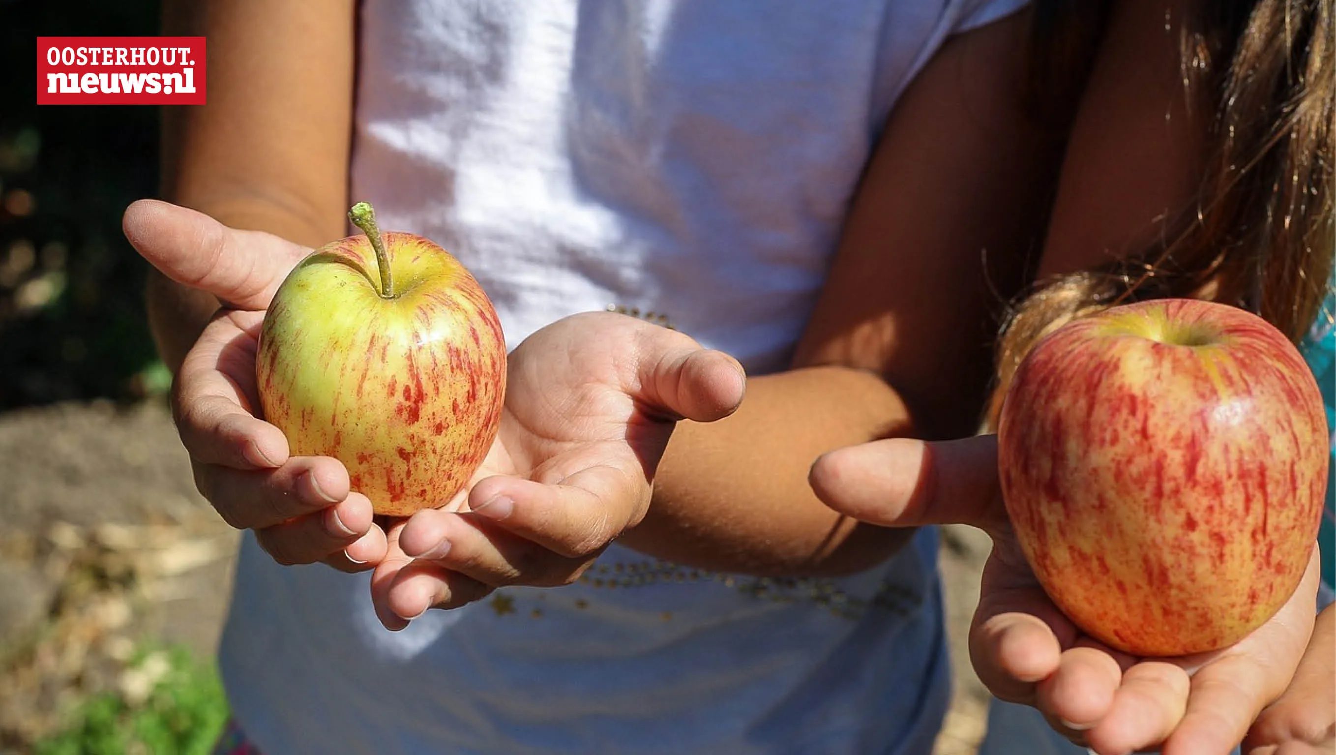 appels plukken kinderen